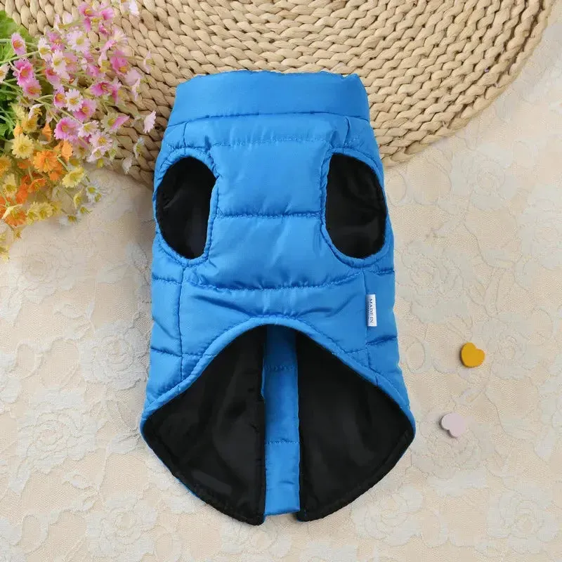 Waterproof Winter Jacket for Dogs