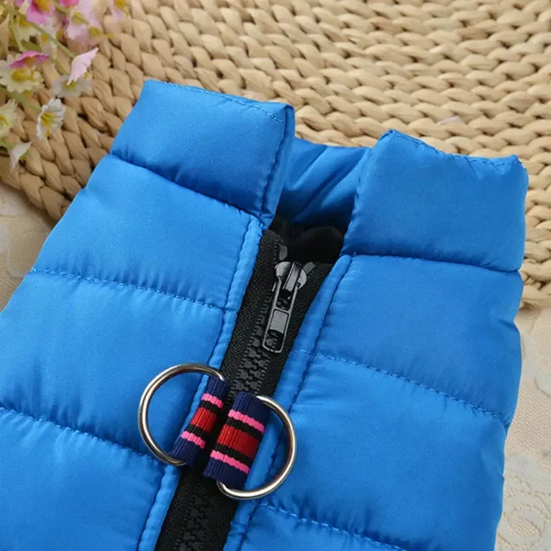 Waterproof Winter Jacket for Dogs